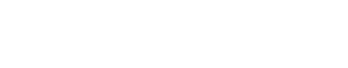 Autonex