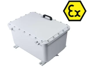 Explosion20proof20enclosures2028Ex20d29 300x240