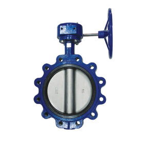 Butterfly Valve1 25 300x300