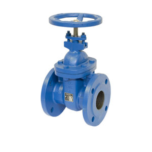 Gate Valve1 25 300x300